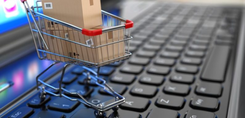 4 Things You Must Know About Ecommerce Development Services